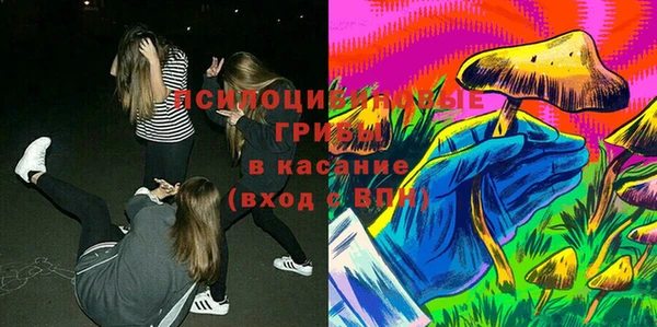 PSILOCYBIN Алзамай